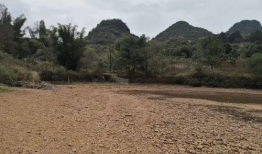 青草视频,探寻自然之美，感受生命律动