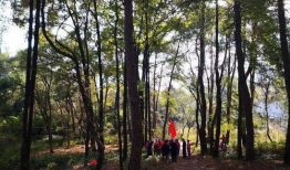 青草视频,探寻自然之美，感受生命律动