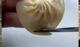 做包子视频全教程,从和面到上锅，一学就会